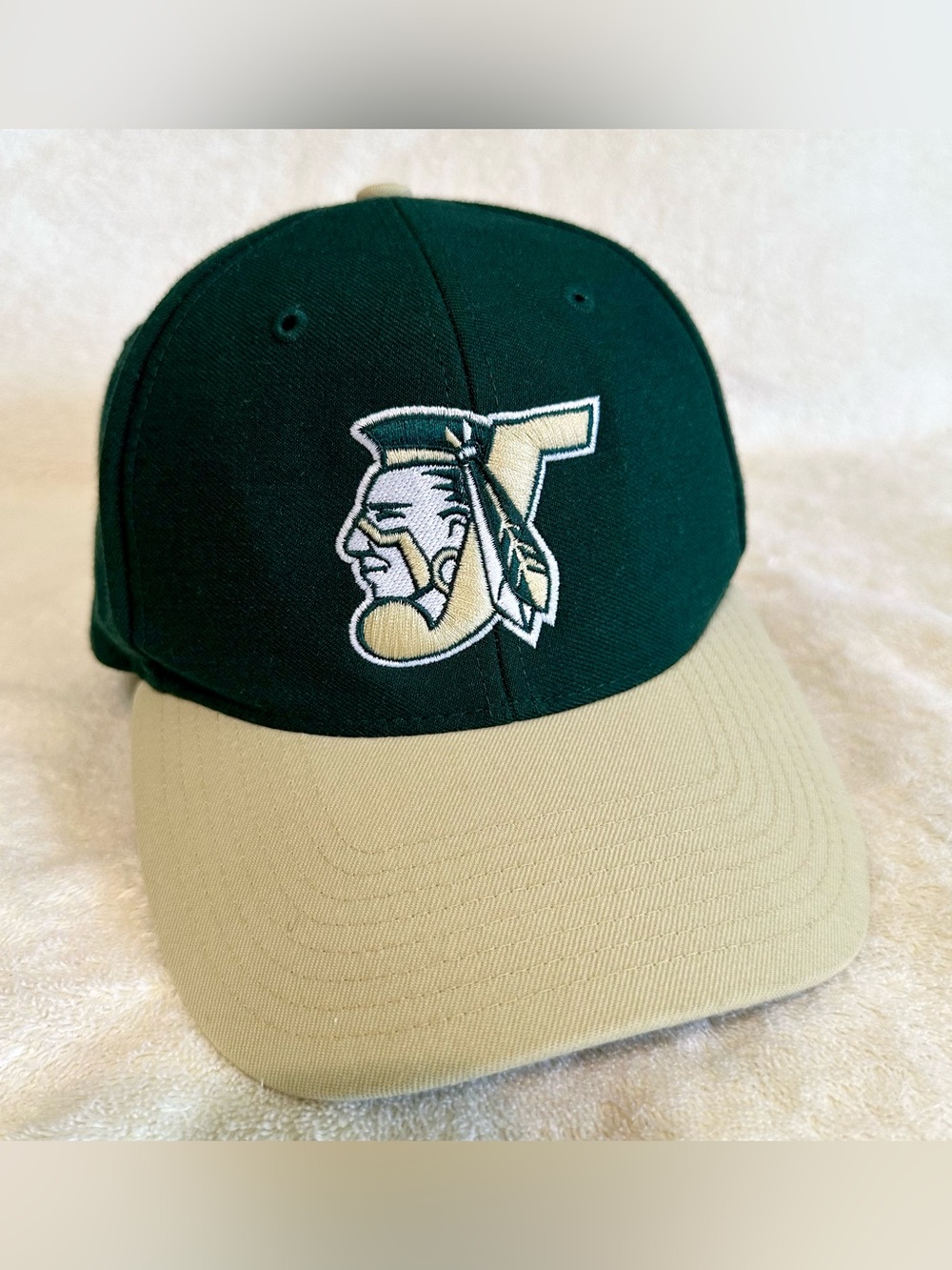 Vintage Richardson 512 Snapback Hat Y2K Green Beige Wool Blend Cap Mascot T OSFM